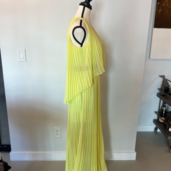 Bcbgmaxazria Shaina Sleeveless Pleated Gown - Picture 3 of 15